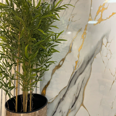 "Gouden wit" - Marmeren wandpaneel 122x260cm